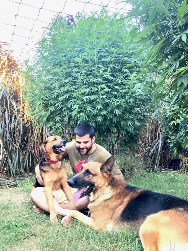 Cultivo al aire libre