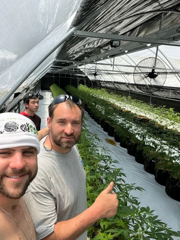 Equipo inspeccionando cultivo