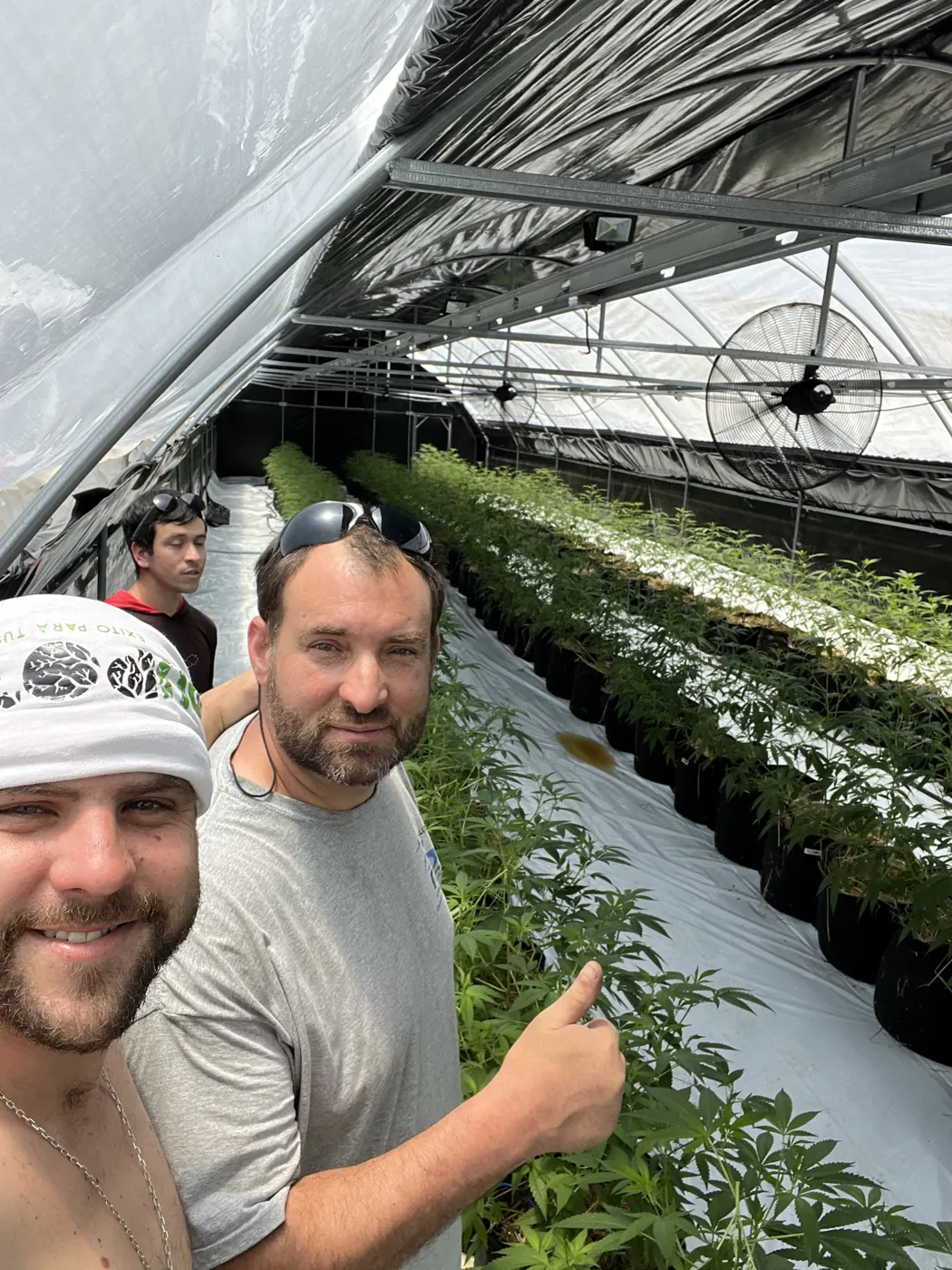 Federico con piña y flor recién cosechadas