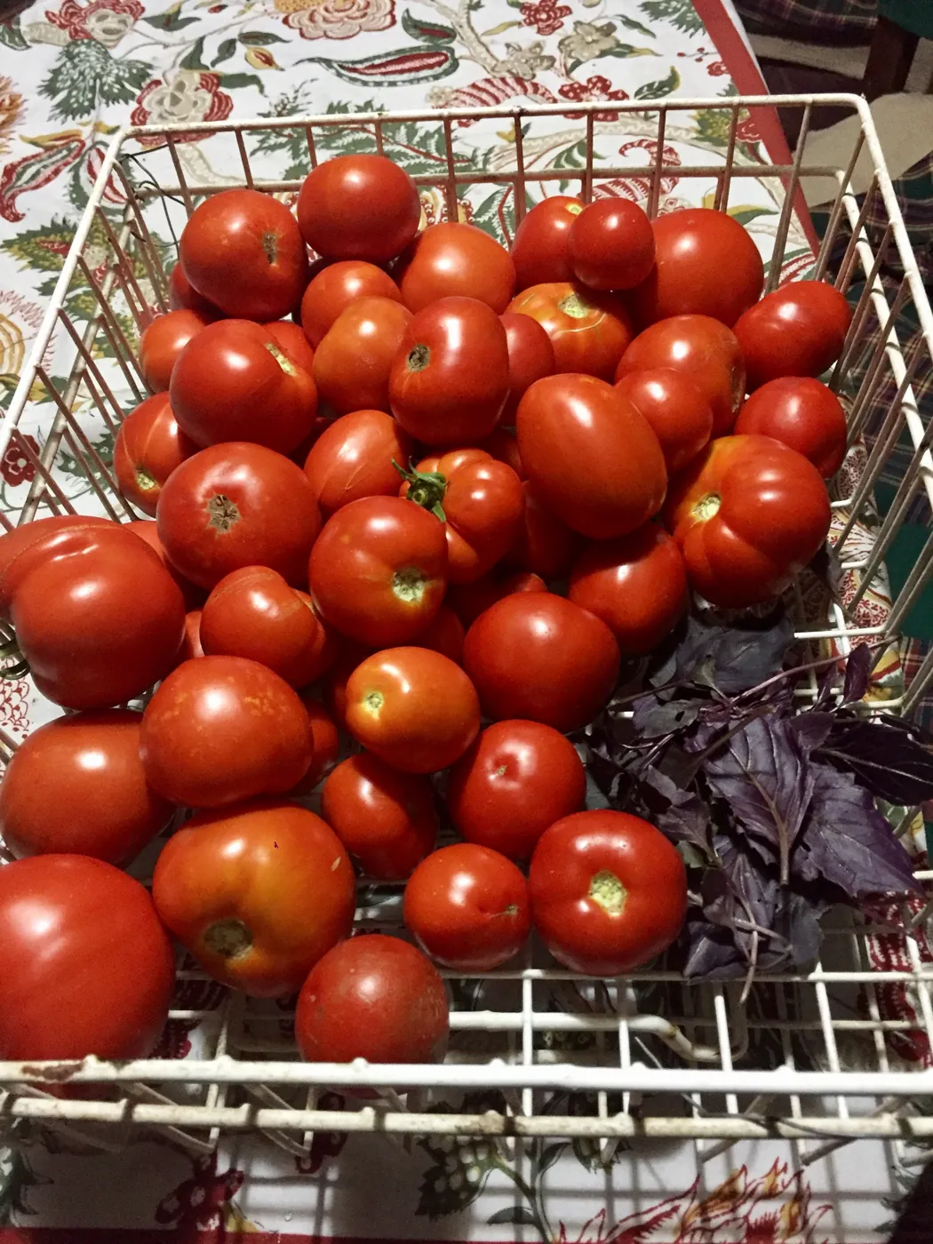 Cajón de tomates cosechados de la huerta